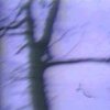 Video Stills I